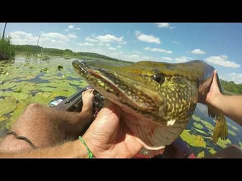 Insane TROPHY PIKE FISHING with Mepps Aglia#5 Lure in Wisconsin!!! Kayak Perception Pescador Fishing