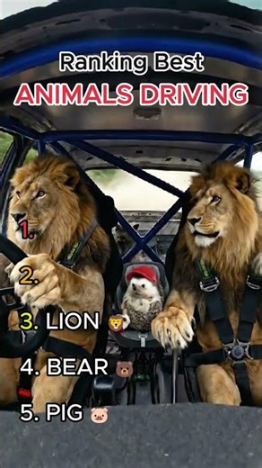 Ranking Animals Driving 🏆🐾🚗