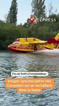 🔥 Fontainebleau : les Canadairs se ravitaillent dans la Seine pour combattre l'incendie de la forêt