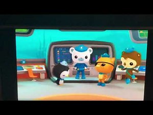 Creature report baby sea turtles and giant pacific octopus