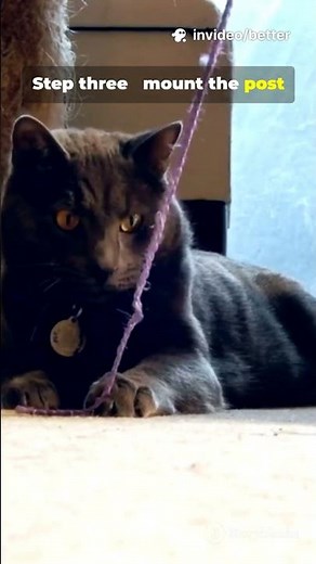 Stop Sofa Shreds in 60s DIY Scratch Post