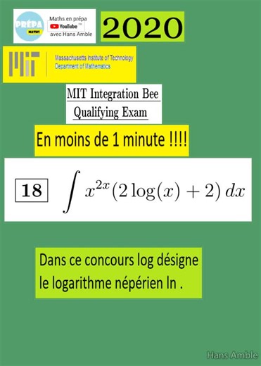 MIT bee 2020 18 integration