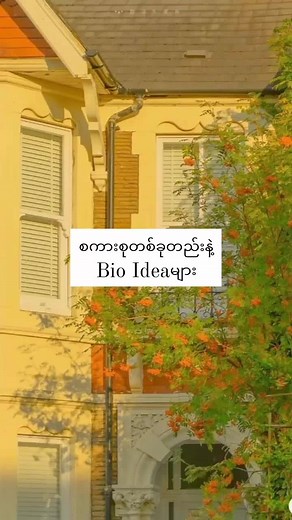 Bio Ideas: Creative and Unique Suggestions