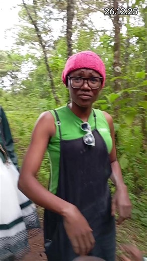 Understanding Wasp Stings and Pain Management