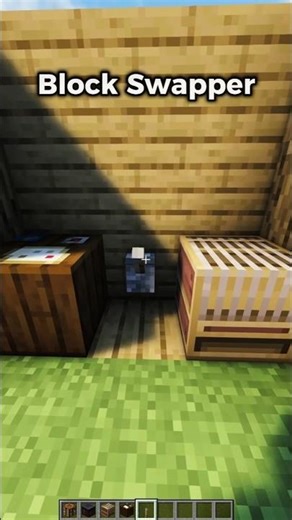 Block Swapper in Minecraft