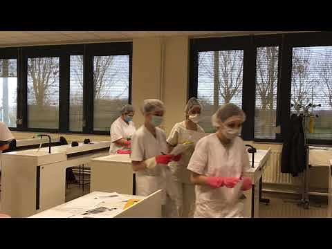 Bac Pro HPS: Hygiène, Propreté et Stérilisation