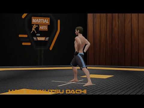 Karate Stances - Han Zenkutsu dachi - Goju Ryu