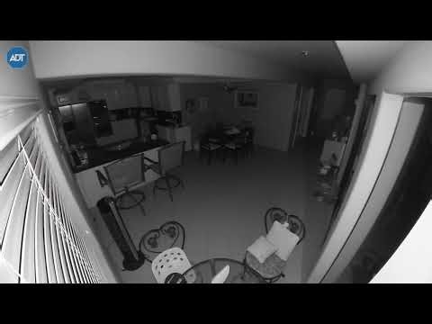 Ghosts In My Parents' House