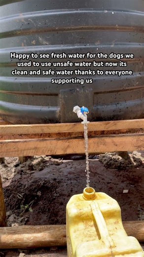 Happy to see fresh water for the dogs we used to use unsafe water but now its clean and safe water