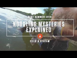 Catfishing Noodling—Explained