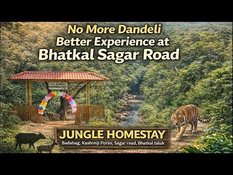 No More Dandeli | Now At Bhatkal Taluk | Jungle Homestay | Adventures Picnic Spot