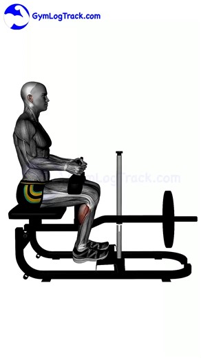 Machine Calf Raises