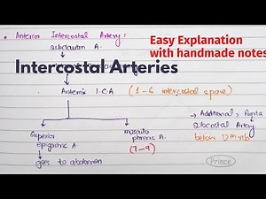 Intercostal Arteries | Course, Relations | Arterial Supply of thorax | Thorax Anatomy