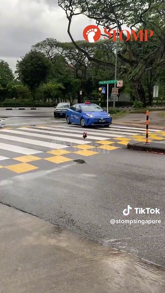 Stomp Singapore on TikTok