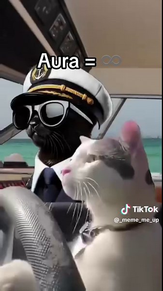 Cat Aura Farming: Discover the Magic