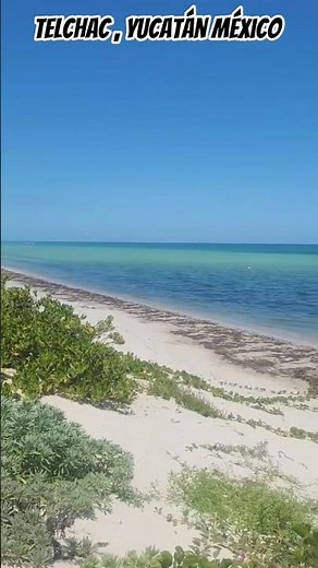 Descubre la magia de Telchac Puerto 🌊✨ #Yucatán