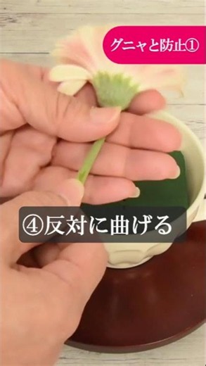 Easy Trick to Straighten Bent Gerbera Stems [Flower Arranging]