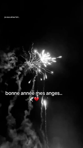 #mamie #ptitfrere #ange #2026 #fyp