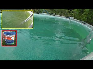 Green Pool Water? How to Fix It with Pool Shock