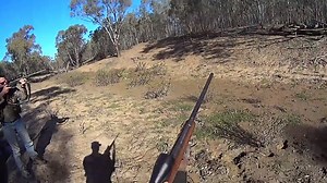 59K views · 564 reactions | Pigs on the run. Western NSW pig hunt | Universal hunting videos and photos | Facebook