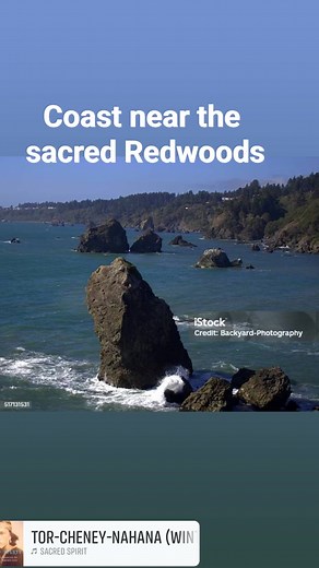 Jim Petruzzi on Reels