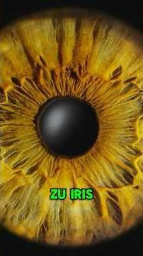 Iris photography preparation