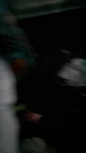 CocoTheAfricanGrey (@cocotheafricangrey)’s videos with original sound - CocoTheAfricanGrey