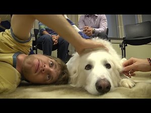 Duke University students take a study break and play with puppies