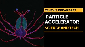 2.2K views · 64 reactions | You might have heard of CERN’s large hadron collider that spans two countries and has an accelerating ring 27 kilometres long. But did you know we have a particle accelerator of our own, in the suburbs southeast of Melbourne? It’s arguably Australia’s most significant bit of science tech, but hardly anyone knows about it. Beam scientist at the Australian Synchrotron Dr Emily Finch explains. | News Breakfast | Facebook