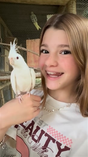 Juju Penido 🌸 on Instagram: "Vou viajar e o criadouro @psitasil_ é onde confio e deixo minhas aves para serem cuidadas. 🩷 #jujupenido #aves #psitasil"