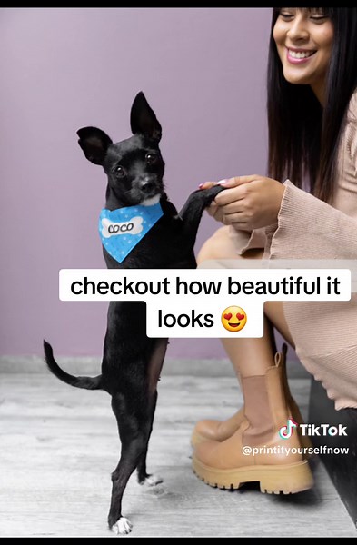 let's create a custom bandana for your pet. #canva #customclothing #pet #petclothes #diy #bandana