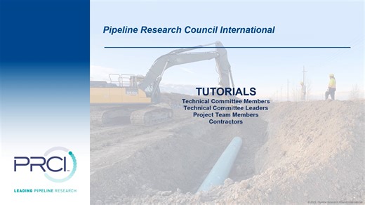 Tutorial Guide - Project - Roles and Responsibilities