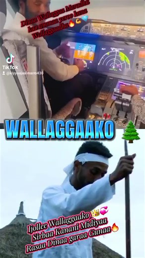 Ijollee Wallaggaa: Galaa Sirbaa fi Walaloo
