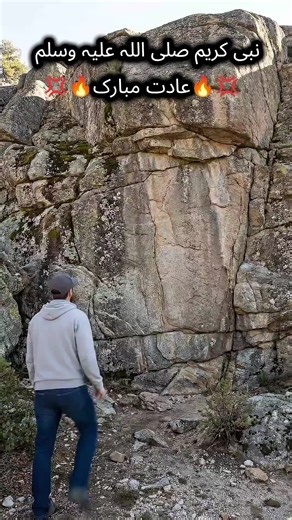 Exploring the Life of Prophet Muhammad (صلی اللہ علیہ وسلم)