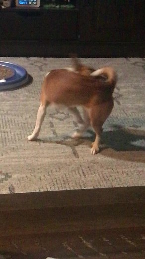 2.6K views · 62 reactions | Carl Marino on Reels | Facebook