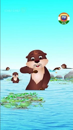 நீர்நாய் தான் என் பேரு – Sea Otter Animal Song #Shorts #ChuChuTVTamil #TamilRhymes #animals
