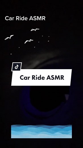 💙Car Ride With Headlights ASMR•Just A Relaxing Ride Down The Coast With Seagull Sounds💙#asmr #asmrsounds #asmrvideo #asmrrelax #asmrtingles #asmrtiktoks #asmrsound #asmrtriggers #asmrtriggerwords #asmrtist #cassiemarieasmr #foryoupage #foryou #asmr_tingles #sleepasmr #relax #relaxingvideos #oddlysatisfyingvideo #calming #asmrhandmovements #asmrcarride #roadtrip #asmrlighttriggers