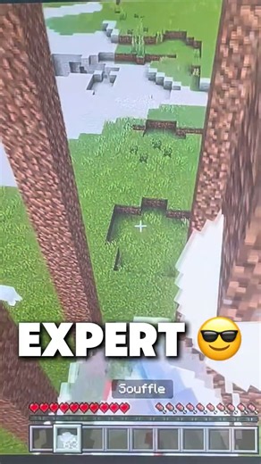Les différents types de MLG selon son niveau (partie 2)￼￼ #gaming #minecraft