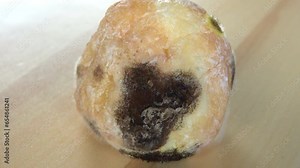 Close-up mold is growing on a bread Stock Video