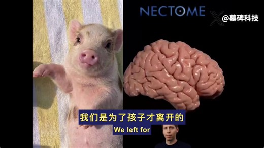 Sam Altman 从2016年起就在等一份死亡通知。发件人是一家叫 Nectome 的波特兰科技公司。他主动在等待名单上排了号。为了让这家公司“杀死”自己，然后把大脑上传到互联网。他在赌永生。这个疯狂的计划有了实质突破。Nectome 宣布成功复活了一颗死猪的大脑。一整个哺乳动物的大脑神经网络被完整保存。这意味着处理人类意识的硬件测试已经跑通。这项记忆保存技术即将向绝症患者开放。游戏规则很明确。患者自愿捐出大脑和身体。公司用特殊工艺无限期封存完整的神经信息。Nectome 研究员 Borys Wróbel 把这称为时间的投资。先冻结物理介质。等待未来的某一天，技术足够成熟，读出大脑数据重建人格。让这个人以数字形态继续活下去。硅谷对长生不老的痴迷从未停止。肉体消亡正在被重新定义。它不再是生命的终点，而是一次等待唤醒的数据备份。