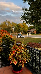 4.9K views · 127 reactions | Use this prayer to anoint olive oil to place over yourself, family, home, and to pray over those who are sick. #prayer #anointing #anointingoil #Dailylife #Inspirational #pray #peace #deliverance #love #jesuslovesyou #christiantiktok #scripture #putgodfirst #bibleverse #healing #grace #fyp #foryoupage #worship #forgiveness #motivation #inspiration #praise | Positive Confessionz | Facebook