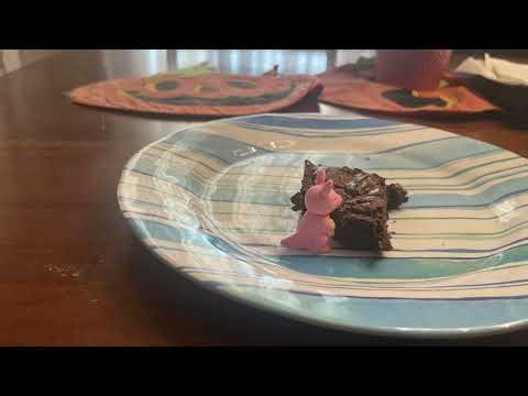 The Very Hungry Kangaroo! (UPDATED INTRO)