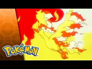 All Fired Up! | POKÉMON FULL EPISODE 20 | Season 2