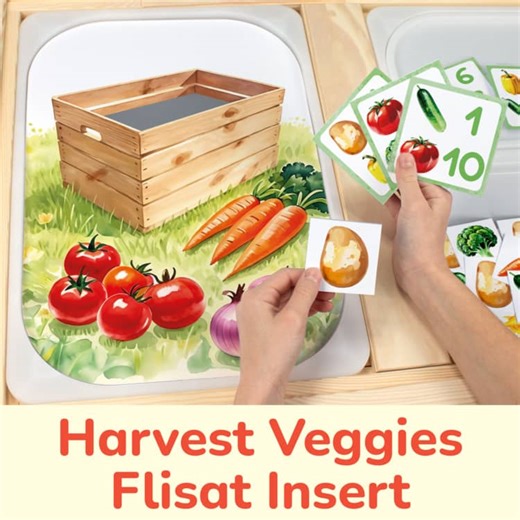 Vegetable Harvest Time: Match & Count Activity, FLISAT Table Insert