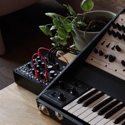 Make Noise on Instagram: "Have you tried scanning through Mimeophon loops with Repeats? The Mimeophon is a stereo, multi-zone color audio repeater by Make Noise and soundhack, coded by Tom Erbe (@ebremot). Amongst its many voltage-controllable parameters is HOLD, which creates an infinite loop out of audio in the module's buffer. Additionally, while HOLD is engaged, the module's Repeats amount is no longer a relevant concept, so the Repeats control instead sets the starting point of the repeat f