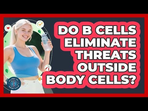 Do B Cells Eliminate Threats Outside Body Cells?