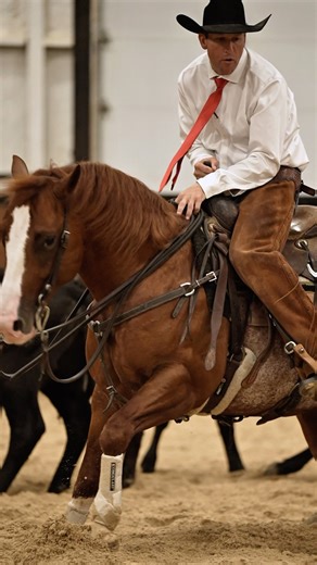 This one is ready to go to the show pen. 🔥 Lot 117, 𝐓𝐞𝐫𝐦𝐫𝐞𝐲𝐧𝐚𝐭𝐨𝐫, brought a final bid of $𝟏𝟔𝟎,𝟎𝟎𝟎 for consignors Weiss Performance Horses & trainer Tarin Rice last night during 𝐓𝐡𝐞 𝐄𝐱𝐜𝐥𝐮𝐬𝐢𝐯𝐞 𝐒𝐚𝐥𝐞. #817HorseSales #TheUltimateExperience #HorseSale #CowboyTrailerSales #ChartierAgency #OutcrossMedia | 817 Horse Sales