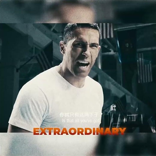 IP MAN FINAL FIGHT #shorts #viral