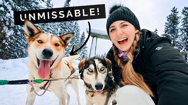Ultimate Banff winter adventure: Skiing, dog sledding & luxury stays!