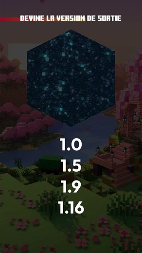 Devine la VERSION de sortie de ce bloc MINECRAFT en moins de 10 SECONDES ! Quiz 8
